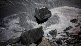 Eco-friendly nanomembrane removes oil spills