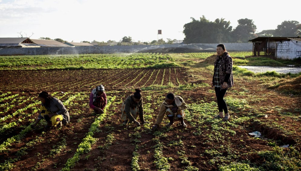 chinese-farm-africa