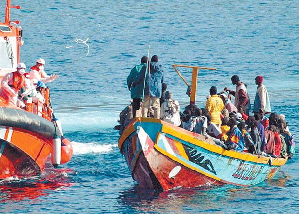 Illegal immigration