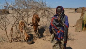 El Niño leaves hunger in its wake