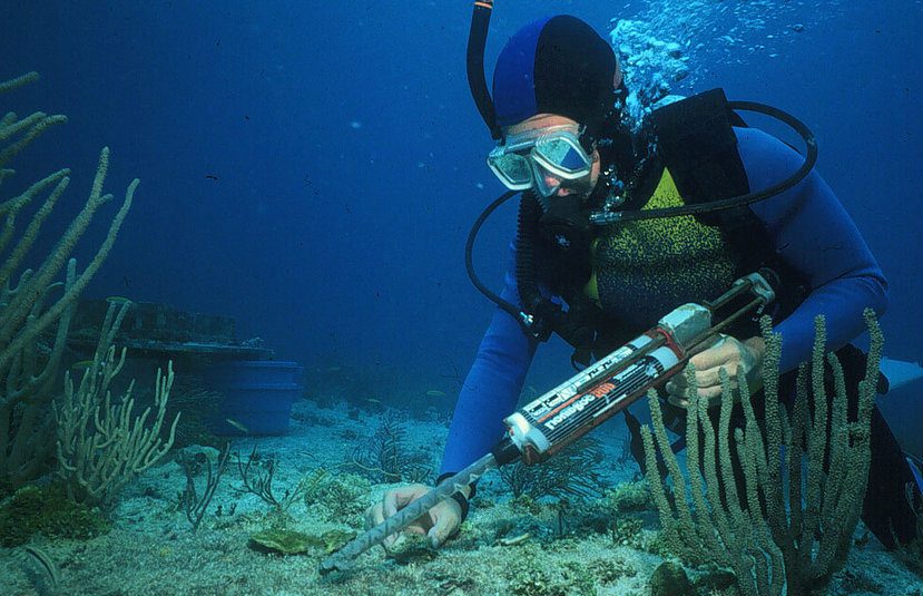 Ocean data swamp_NOAA.jpg