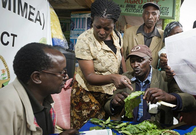 Farming in africa panos