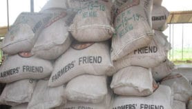 Should access to phosphorus be a human right?