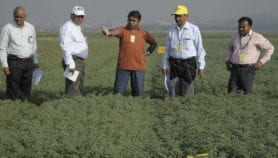 How to build research partnerships that benefit farmers