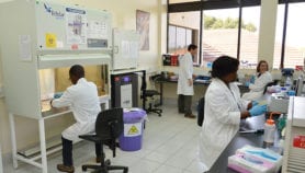 Africa Analysis: Lawsuit offers lessons for alliances