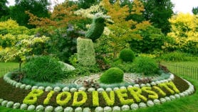 UN conference sets agenda for biodiversity research