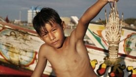 Caribbean nations move to protect dwindling lobster