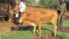 Politicians and farmers are ‘key to biotech success’