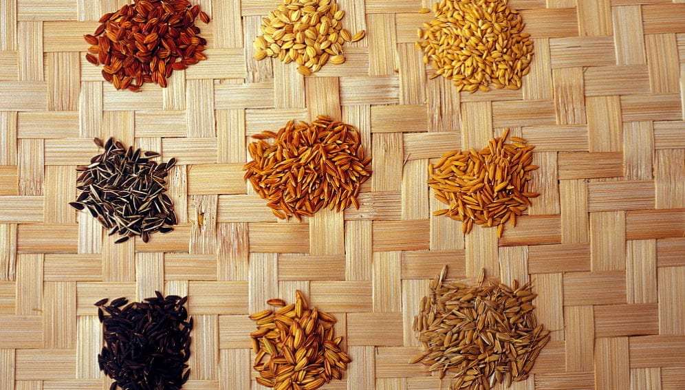 CropDiversity_Panos