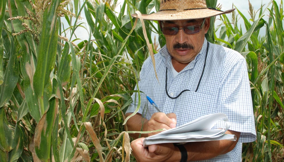 Impact_evaluation_agri_CIMMYT