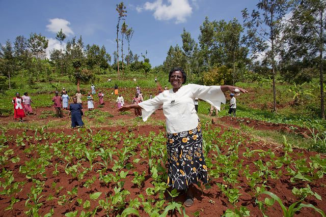 Innovation_Kenya_Flickr_GatesFoundation_5616x3744