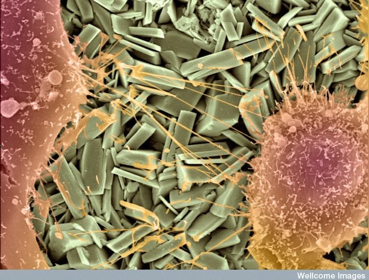 Nanotech_Wellcome_Images_746x546