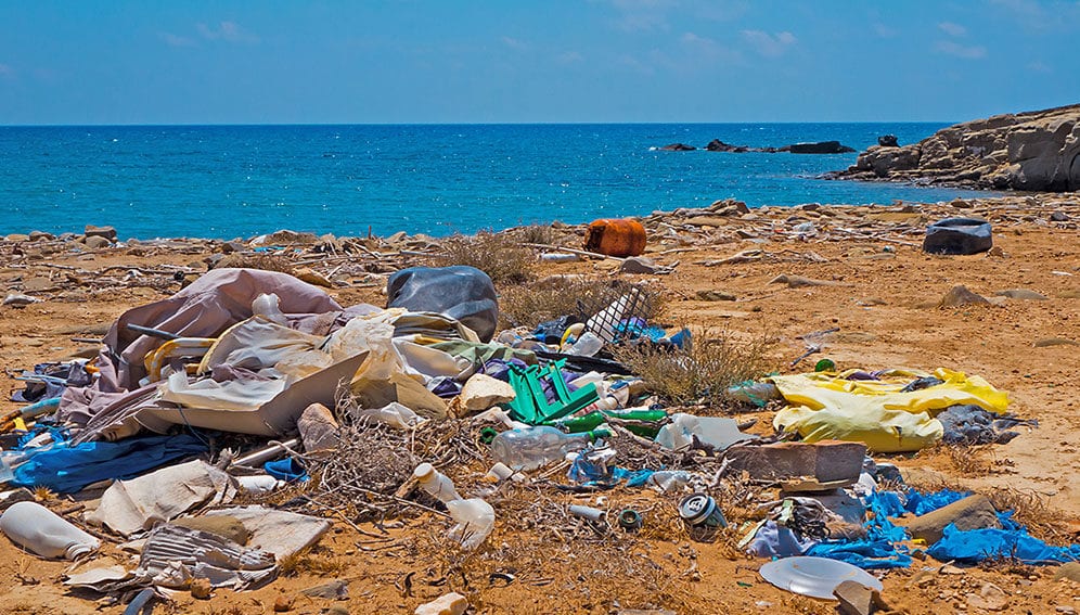 Microplastics article - Main