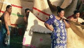 Small island developing states summit aims for alliances