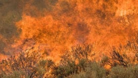 SciDev.Net Podcast: Online wildfire fighters and more