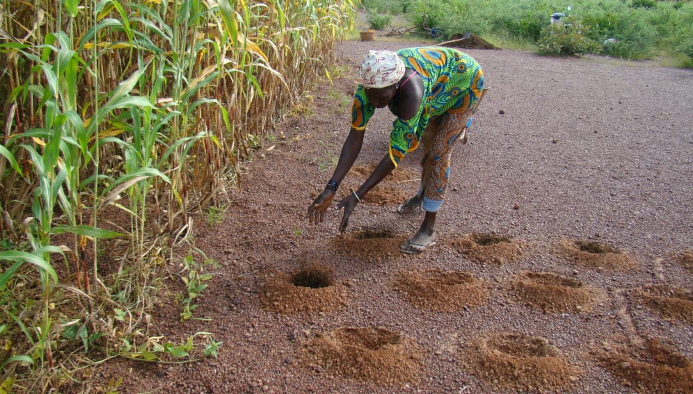 Zai_Holes_WestAfrica_CGIAR_climate_2592x1944