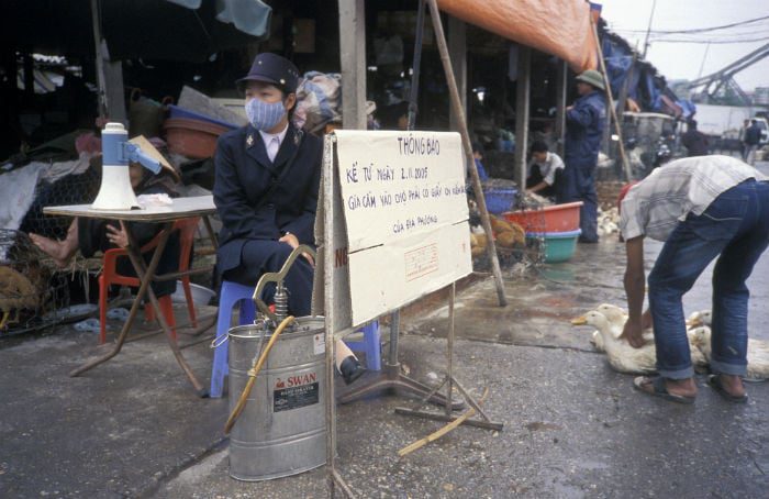 A government veterinary worker