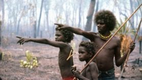 Overhunting chops tropical forest carbon storage