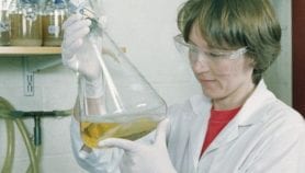Weak research capacity holds back progress on diseases