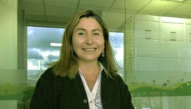 Q&A: ‘Things can change’: new head of global biodiversity platform