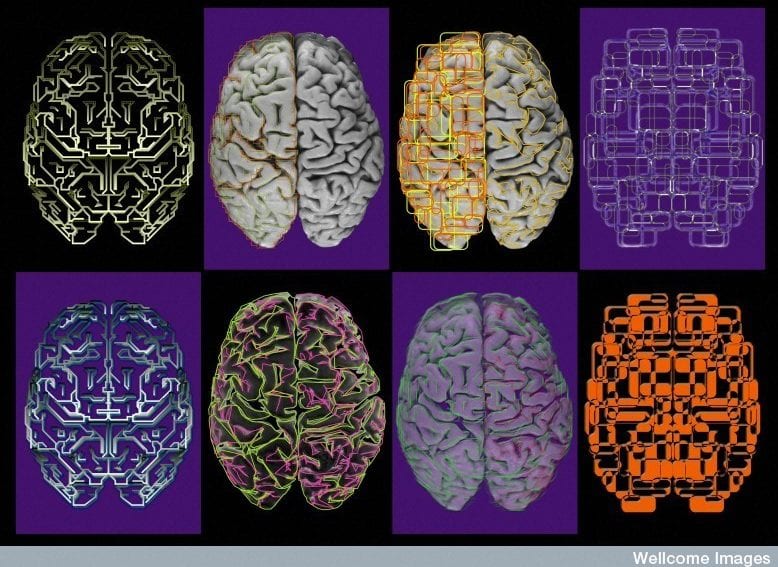Brains Truth in Journalism