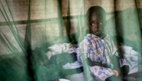 Bed net plan for underfed kids curbs malaria deaths