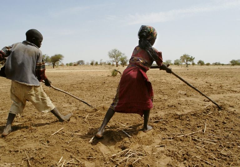 Children weed a freshly sown millet field