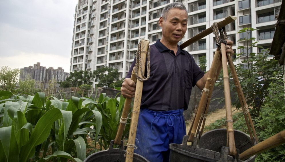 Chinese Urban Farmer_Justin Jin_Panos