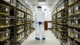 German and African researchers join forces for health