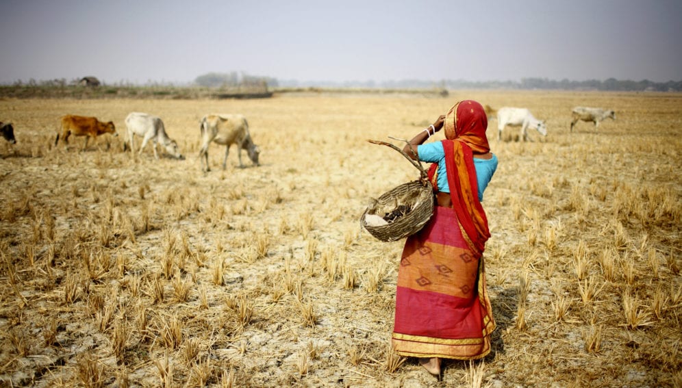 dry farm drought