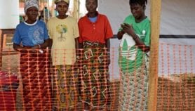 Ebola genome insights indicate that containment worked