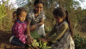 Dry countries team up in El Niño resistance