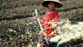 Q&A: Put farmers at heart of ‘adoption revolution’