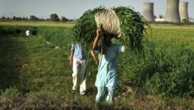 Fears of SDG clashes overblown, study finds