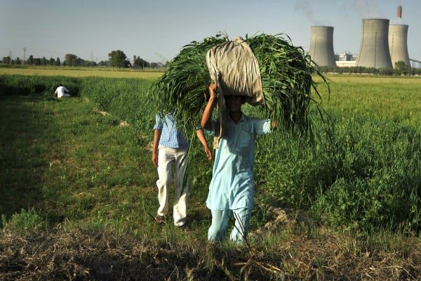 Fears of SDG clashes overblown, study finds