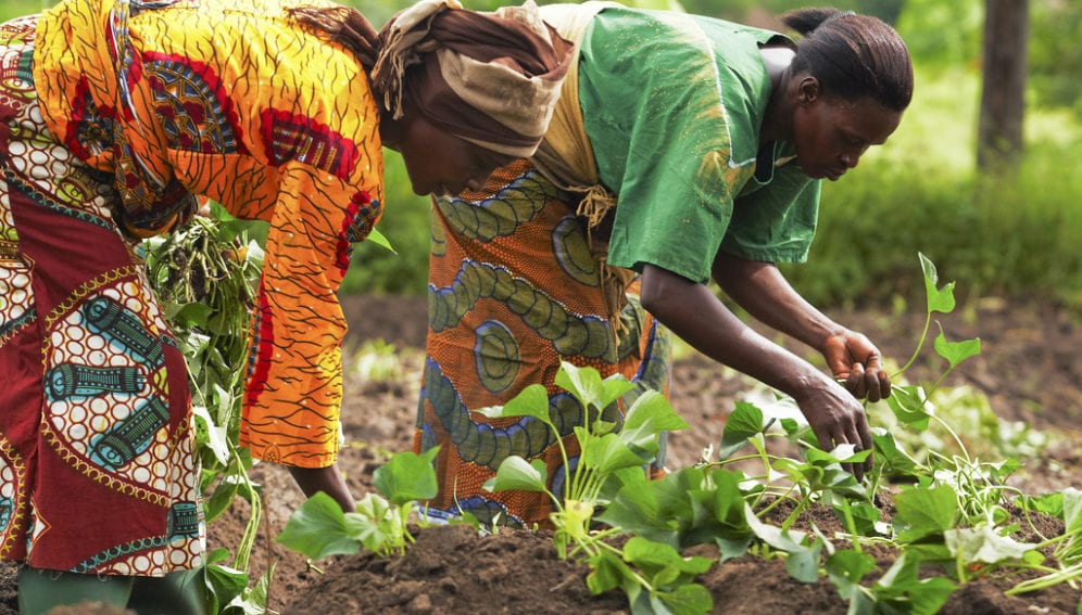 Teaching farming Climate
