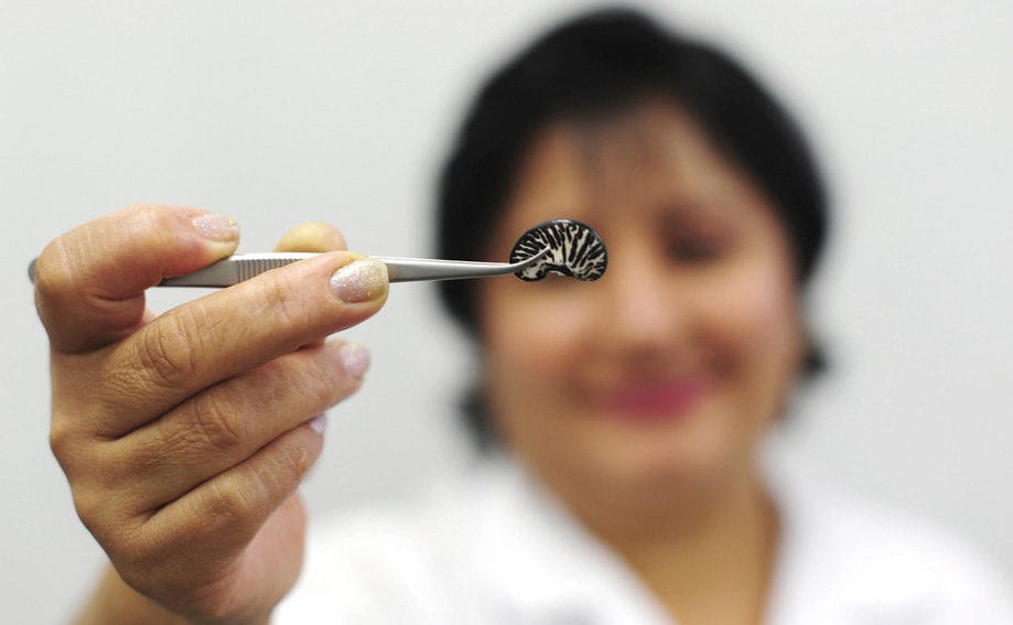 Food security diversity editorial spotlight_Neil PalmerCIAT (FILEminimizer)