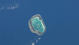 Scientists start to tap marine microbes for biotech use