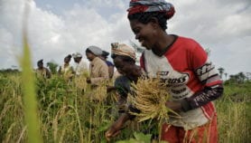 Focus on Gender: The dangers of digitising land data