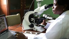 How Ghana could turn waste plastic into profits