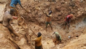 SciDev.Net Podcast: Are bacteria and viruses winning?