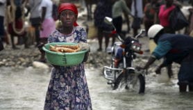 Mixed results for yellow cassava’s vitamin A trial
