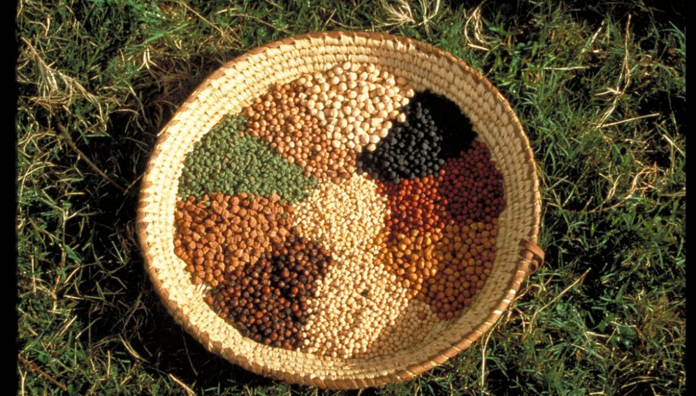 Global Crop Diversity Trust
