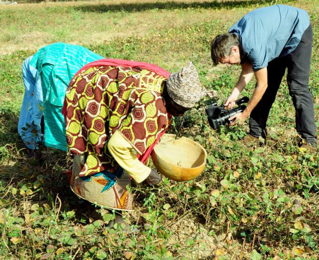 Grandma picking pulses