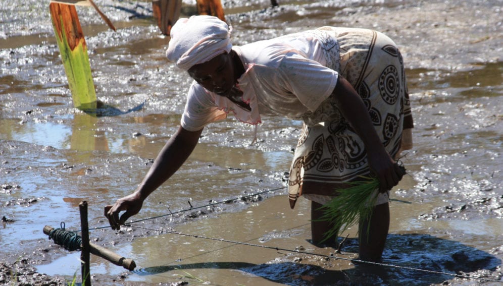 Humanitarian project EU_ECHO Malini Morzaria (FILEminimizer).jpg