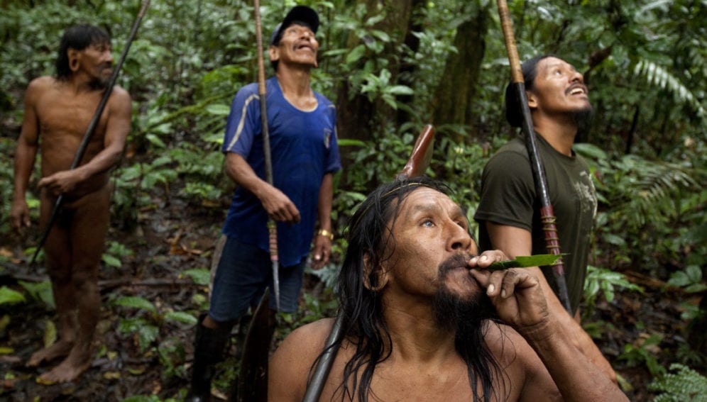 hunting in the jungle