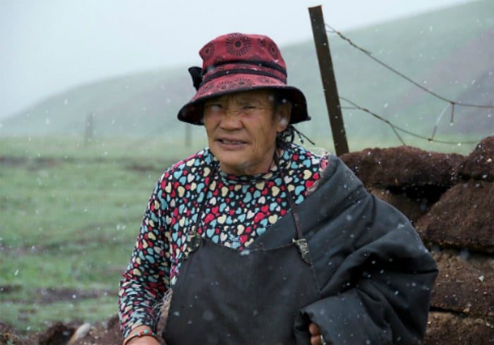 Image 3 Herders Tibet MAIN image.jpg