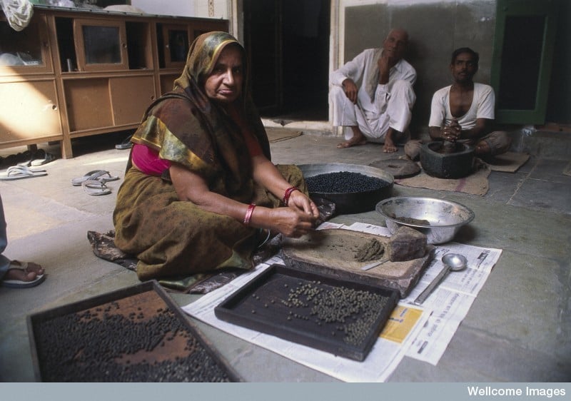 Indian_Medicine_Theresia_Hofer_Wellcome_Images_800x562
