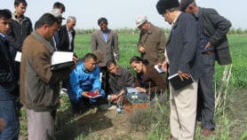 Food sustainability: Key resources