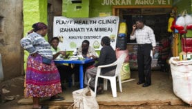 Africa’s knowledge economy isn’t simply about data